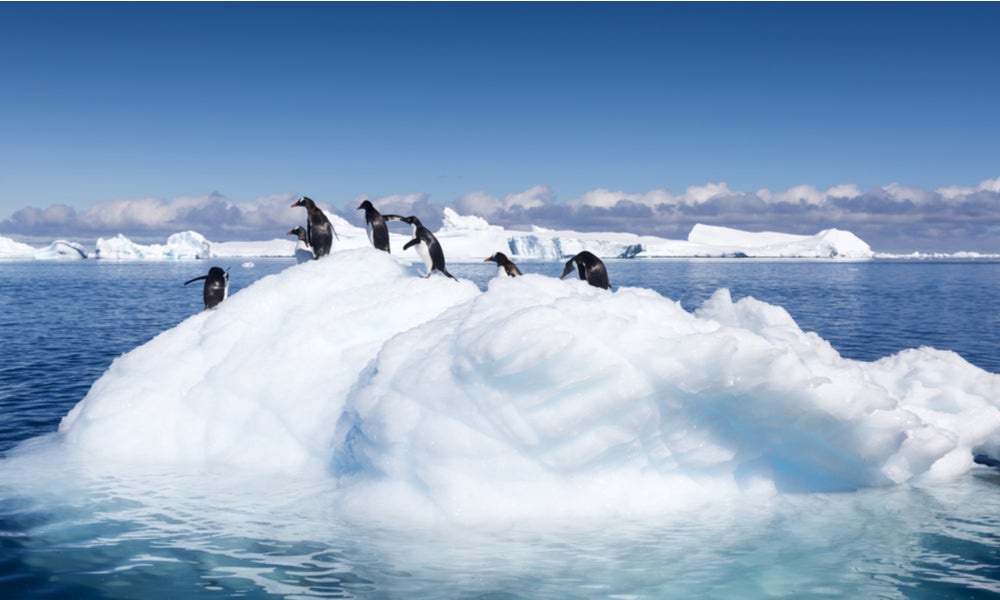 Climate change penguins on melting ice-min.jpg