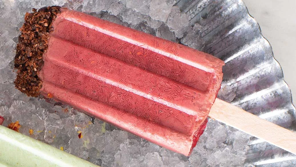 Chocolate Berry Protein Pops