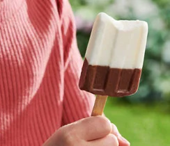 Chocolate Yogurt Pudding Pops