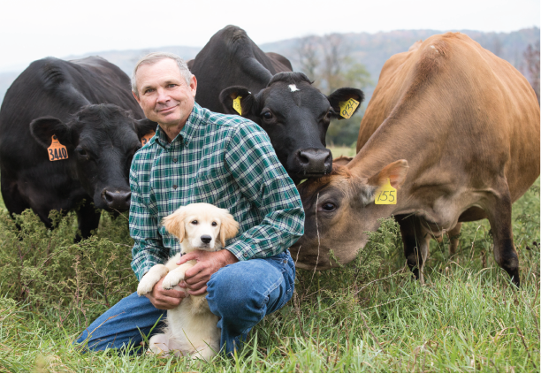 person holding a puppy with cows in the background