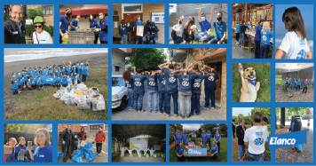 a collage of Elanco employees volunteering