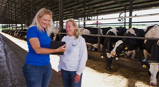 two women looking at a digital pad in front of dairy cows