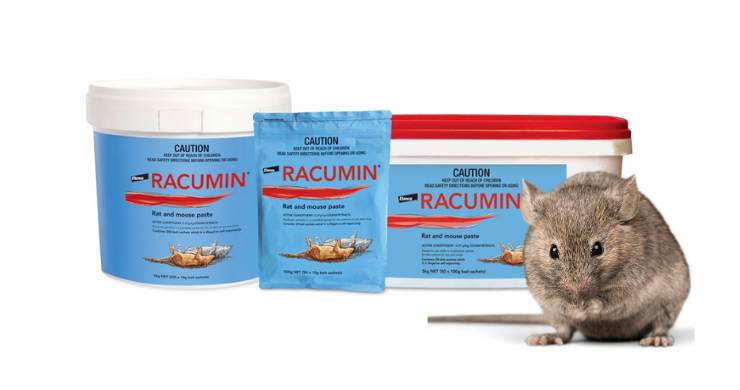 Racumin product and rodent