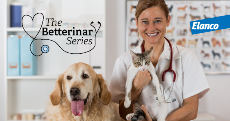 Betterinary Series - Vet with a cat and dog