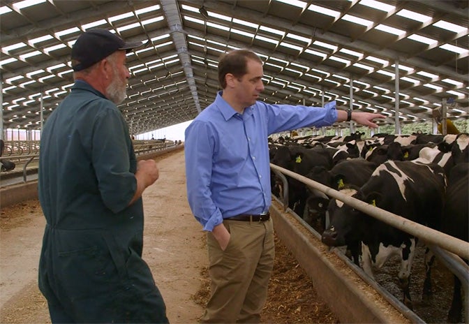 un allevatore e un uomo indicano una mandria di bestiame in un recinto