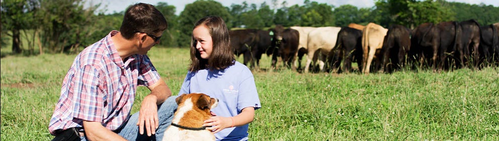мужчина и девочка сидят в поле и гладят собаку, на заднем плане видны коровы