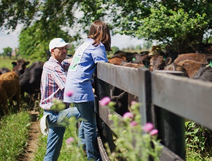Un homme et une petite fille debout sur une clôture regardant un champ de vaches.