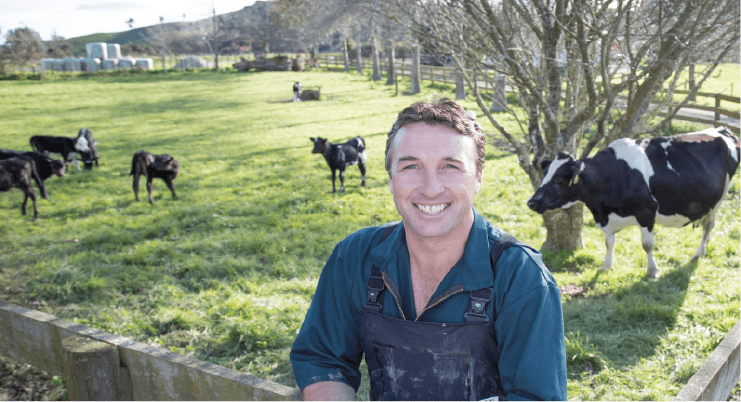 A man leaning on a fence in front of dairy cows