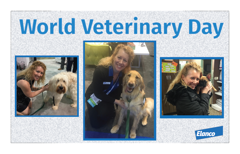 Veterinary Heidi Hulon with dogs