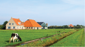 eine Kuh auf einem Feld, die vor einer Scheune steht