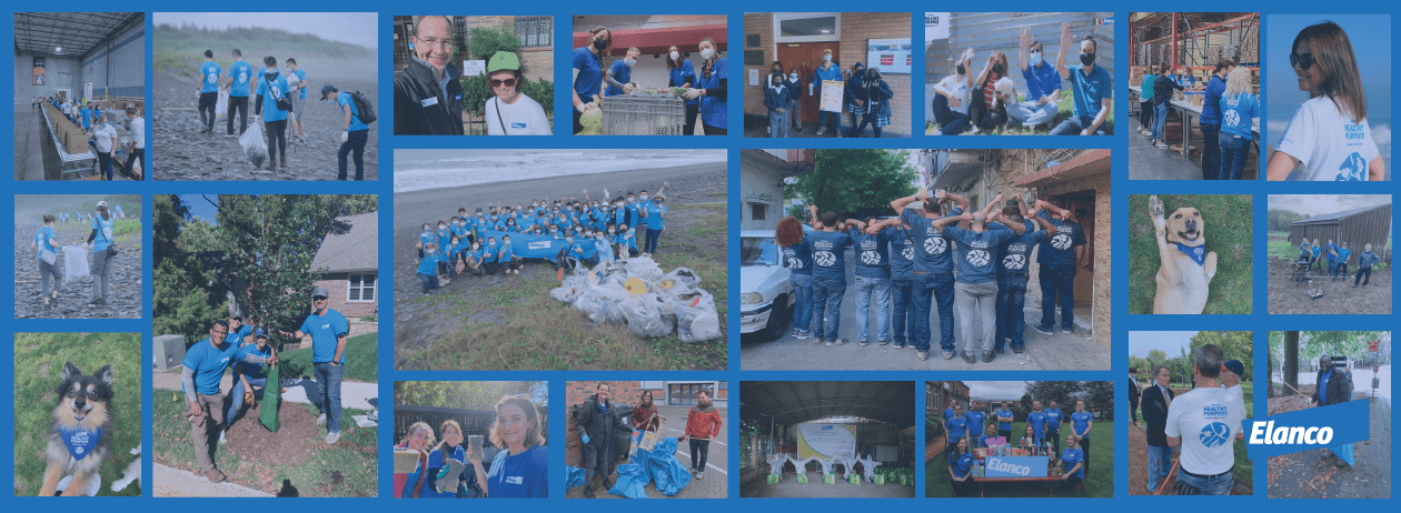 A collage of Elanco employees around the globe volunteering