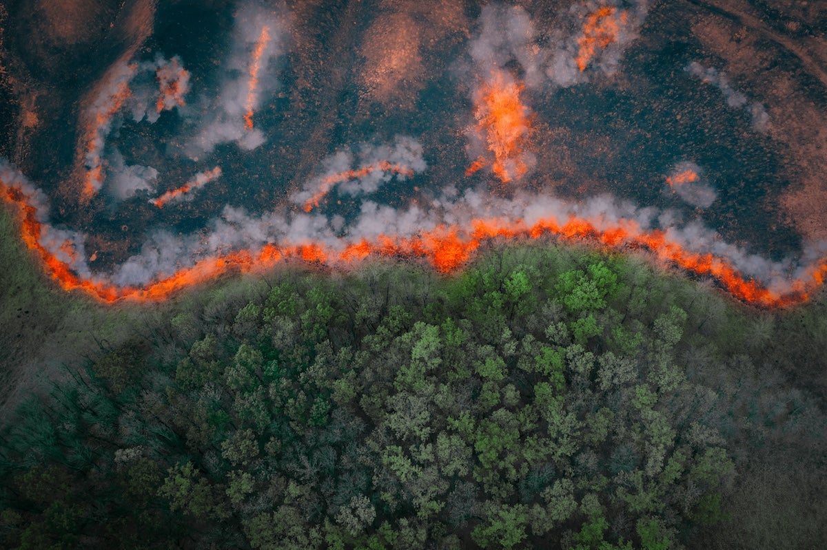 A wildfire burning through a forest, as seen from above