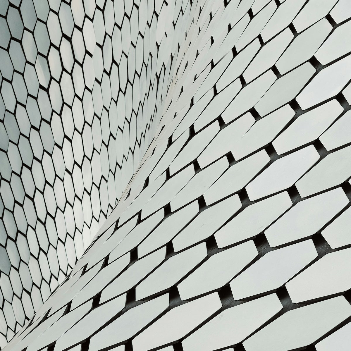 A wave of white hexagons with black borders