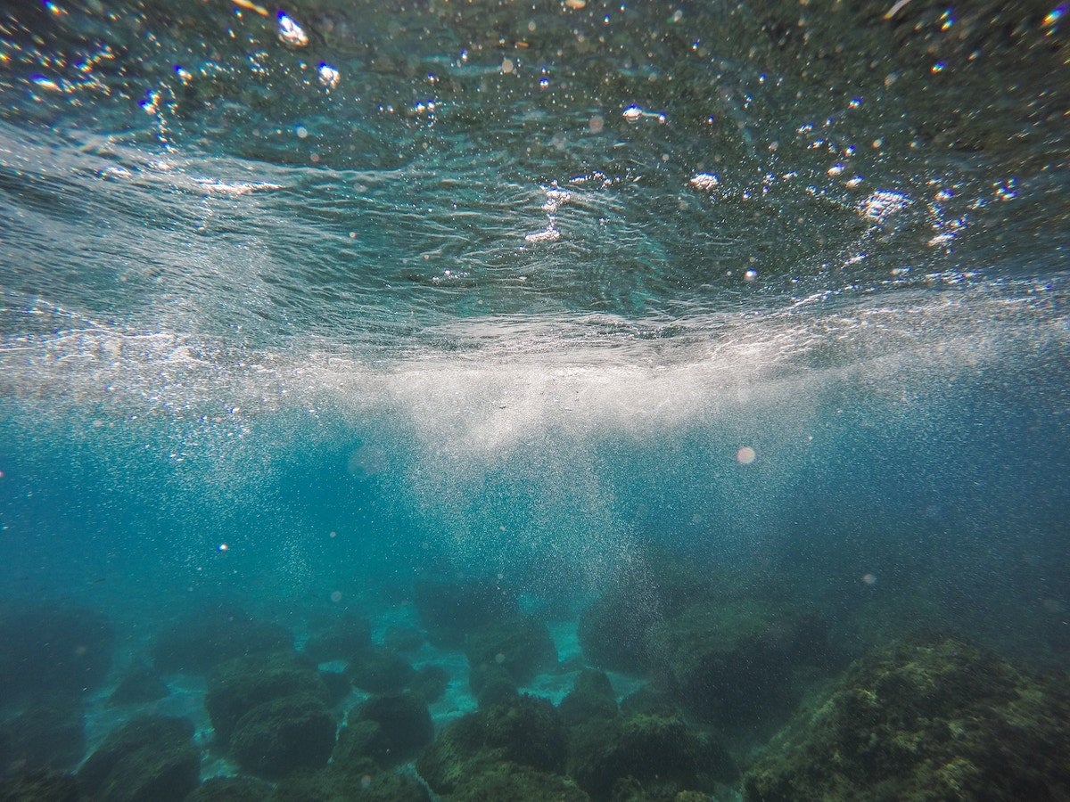 Particles and gas bubbles under the surface of the ocean, with algae and seaweed covering rocks on the ocean floor through the blue water