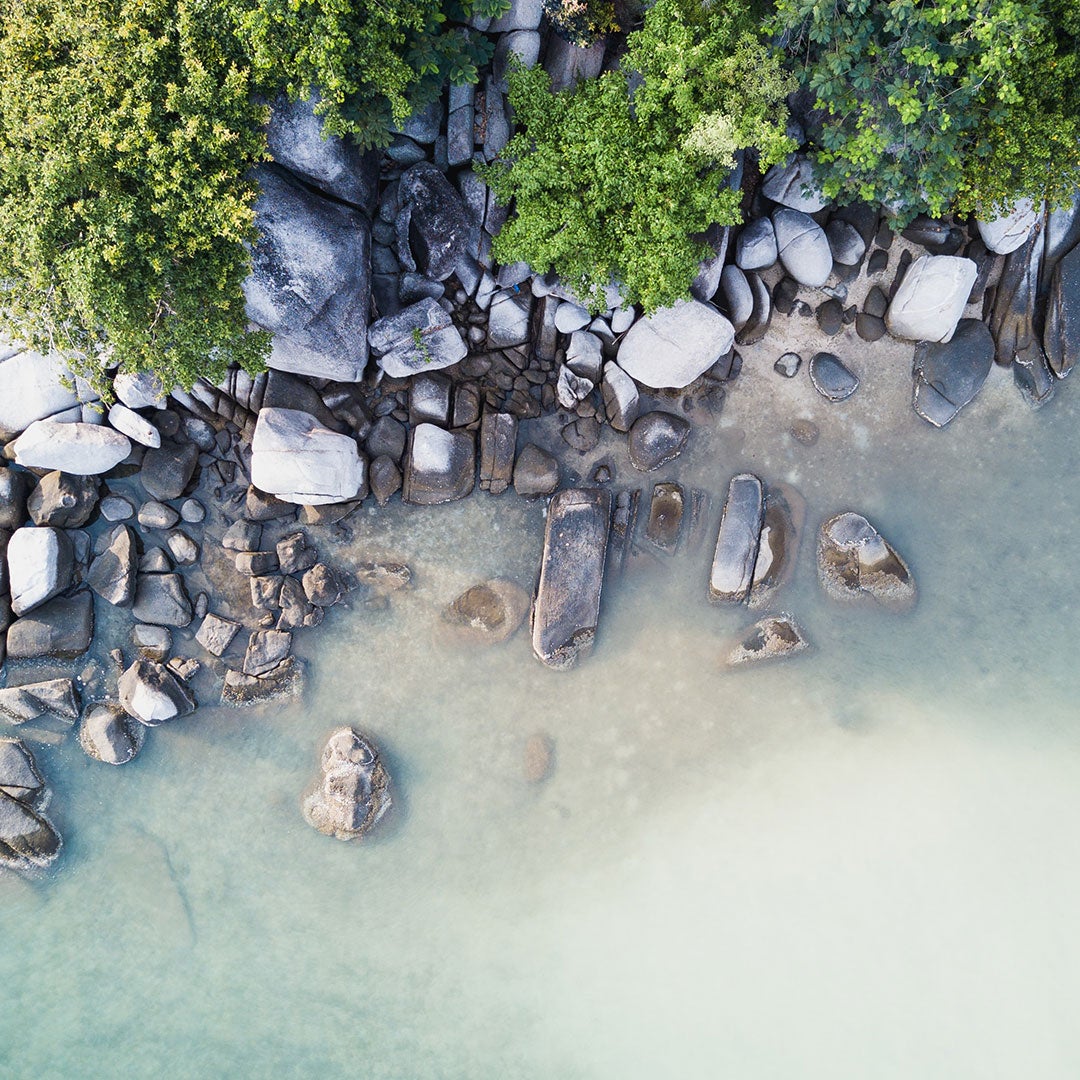 Trees, rocks, and ocean seen from overhead