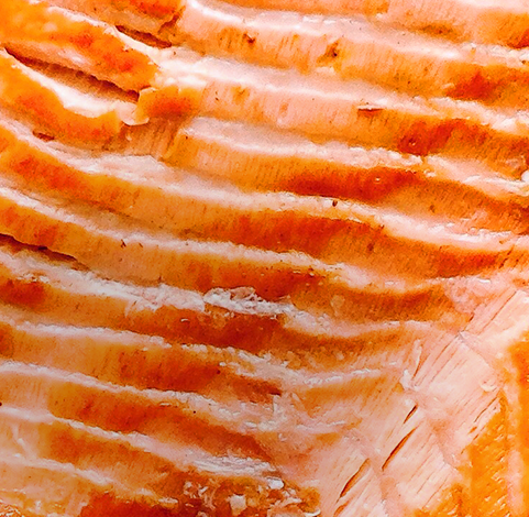 A close up image of a salmon filet