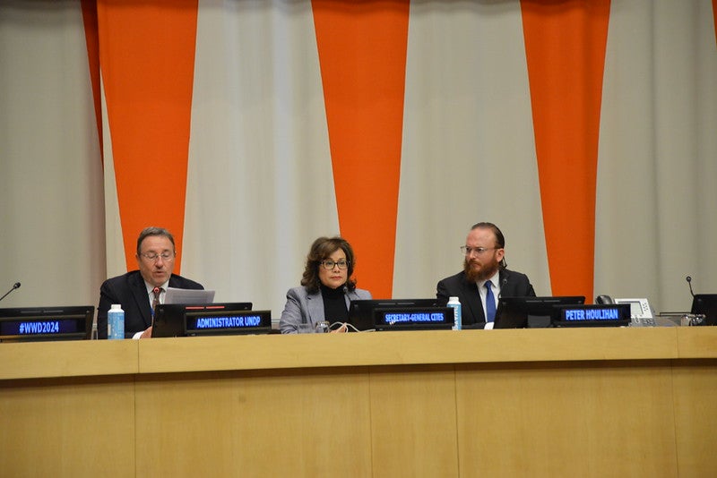 Peter Houlihan sits at the United Nations to the right of Ivonne Higuero, Secretary-General of the United Nations' Convention on International Trade in Endangered Species of Wild Fauna and Flora (CITES) and United Nations Development Programme (UNDP) Administrator Achim Steiner