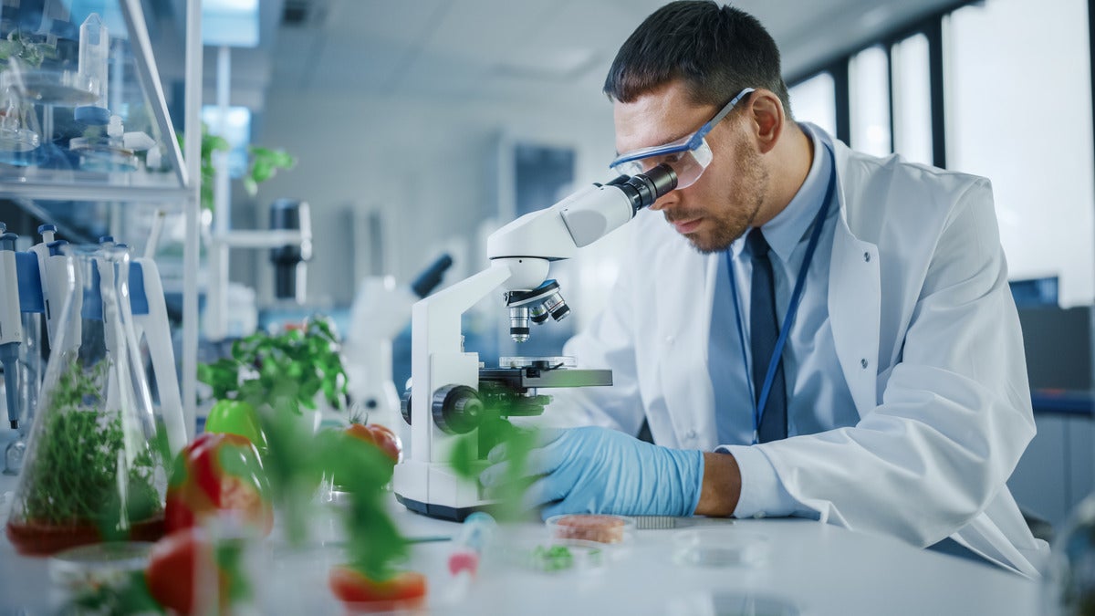 Foodtech scientist studying food through microscope.