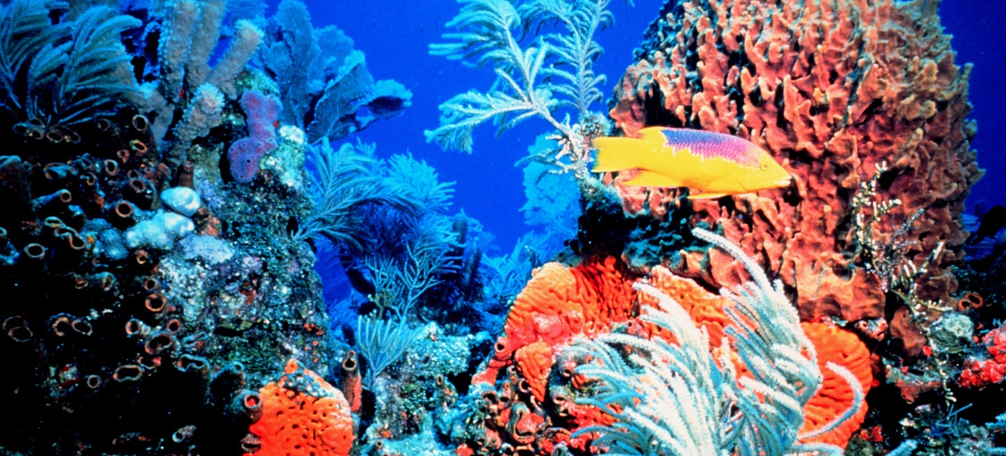 Article cover image