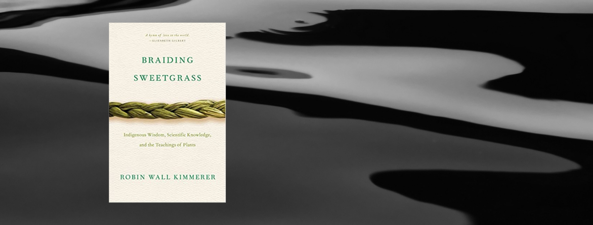 Front cover of book - Reading Sweetgrass by Robin Wall  Kimmerer