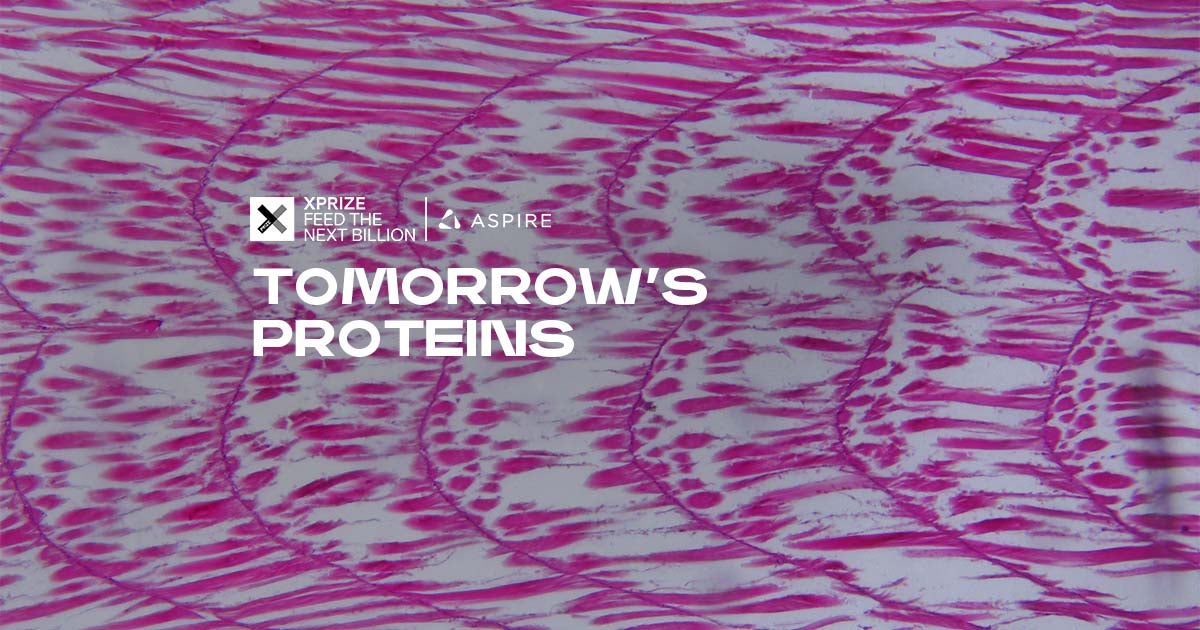 XPRIZE Feed the Next Billion logo and the words "Tomorrow's proteins" atop protein cells