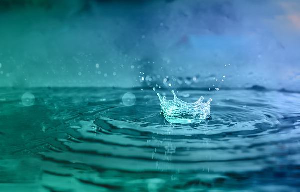 Ripples around a raindrop that has fallen into water