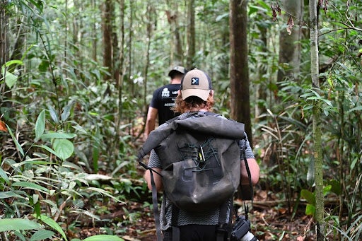 From behind, a man with red hair wearing a backward tan XPRIZE Rainforest hat and a backpack walks through the Amazon rainforest.