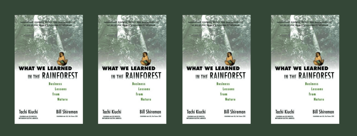 Book cover - WHAT WE LEARNED IN THE RAINFOREST