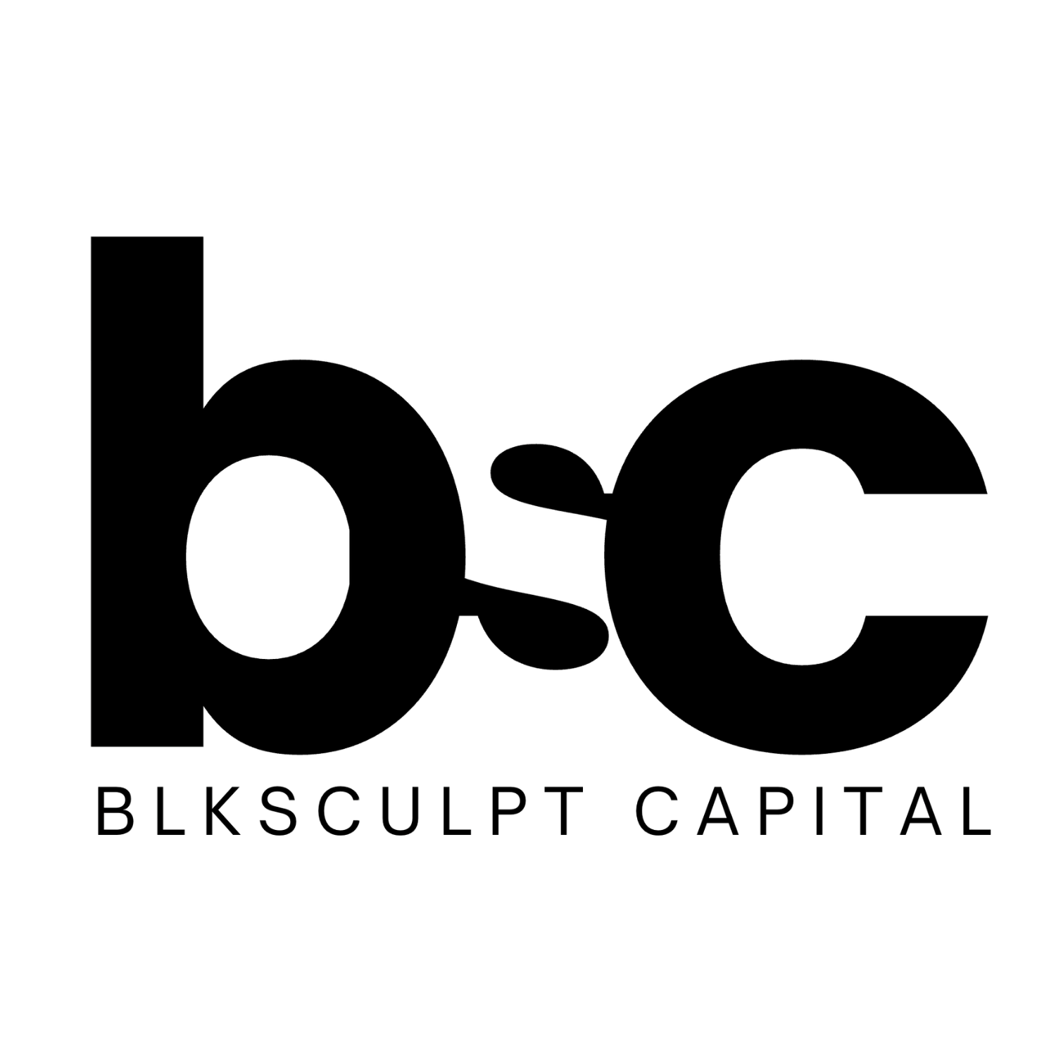 BlkSculpt Capital