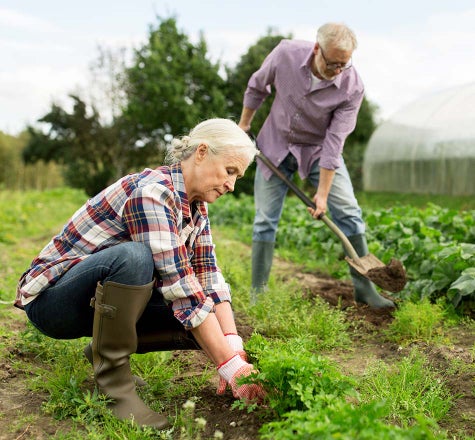 This is a picture of a man and a woman working in a garden.