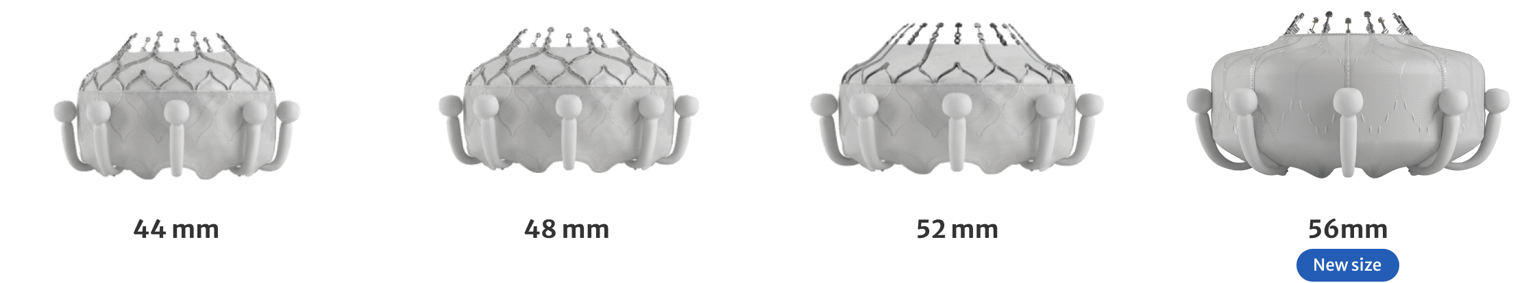 Multiple valve sizes