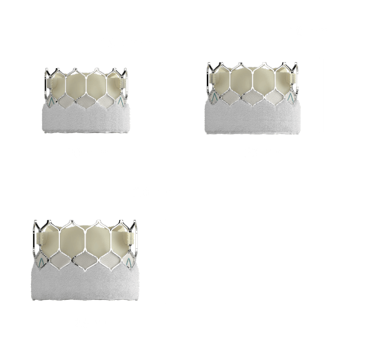 SAPIEN 3 Ultra valve sizes Image