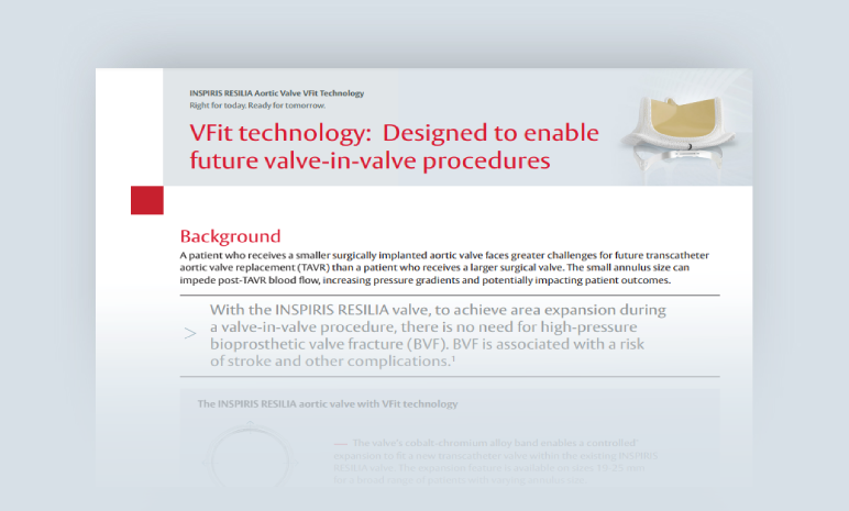 VFit Fact Sheet