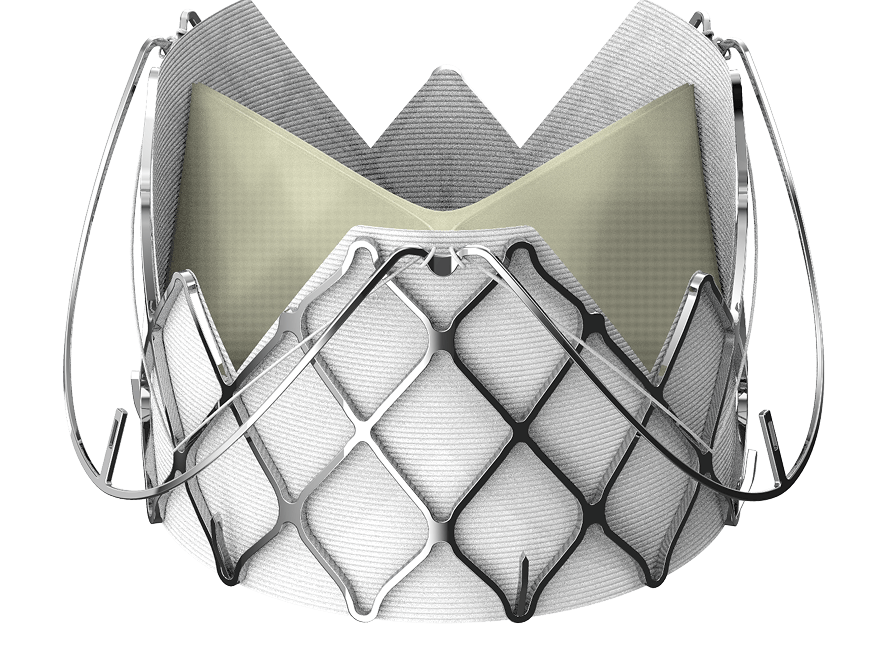 What is TAVR-AR