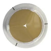 Tissue valve
