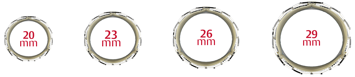 Transcatheter SAPIEN 3 TAVR info image