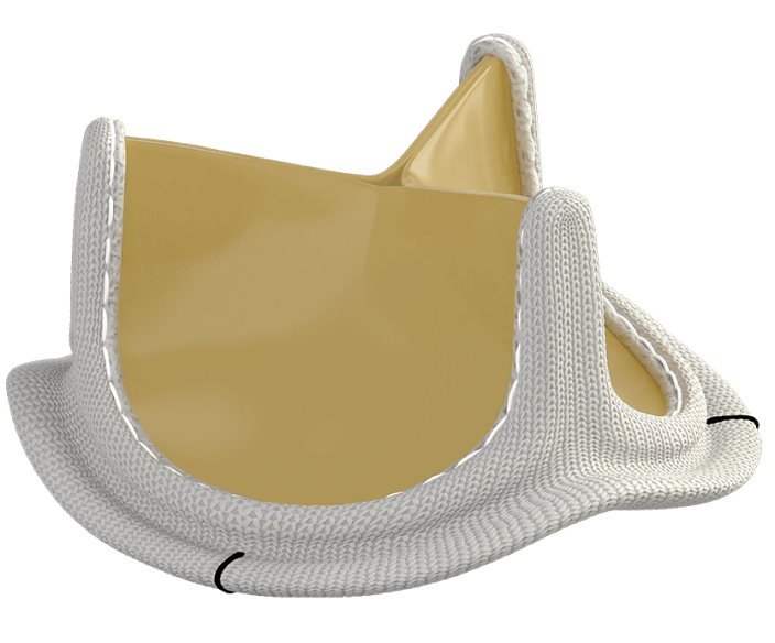 INSPIRIS RESILIA aortic valve