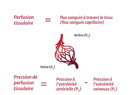 Adequate perfusion requires adequate arterial pressure and cardiac output (CO)