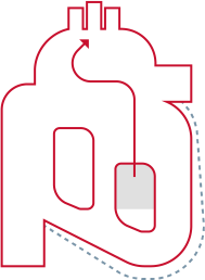 Stroke Volume (SV): volume of blood pump