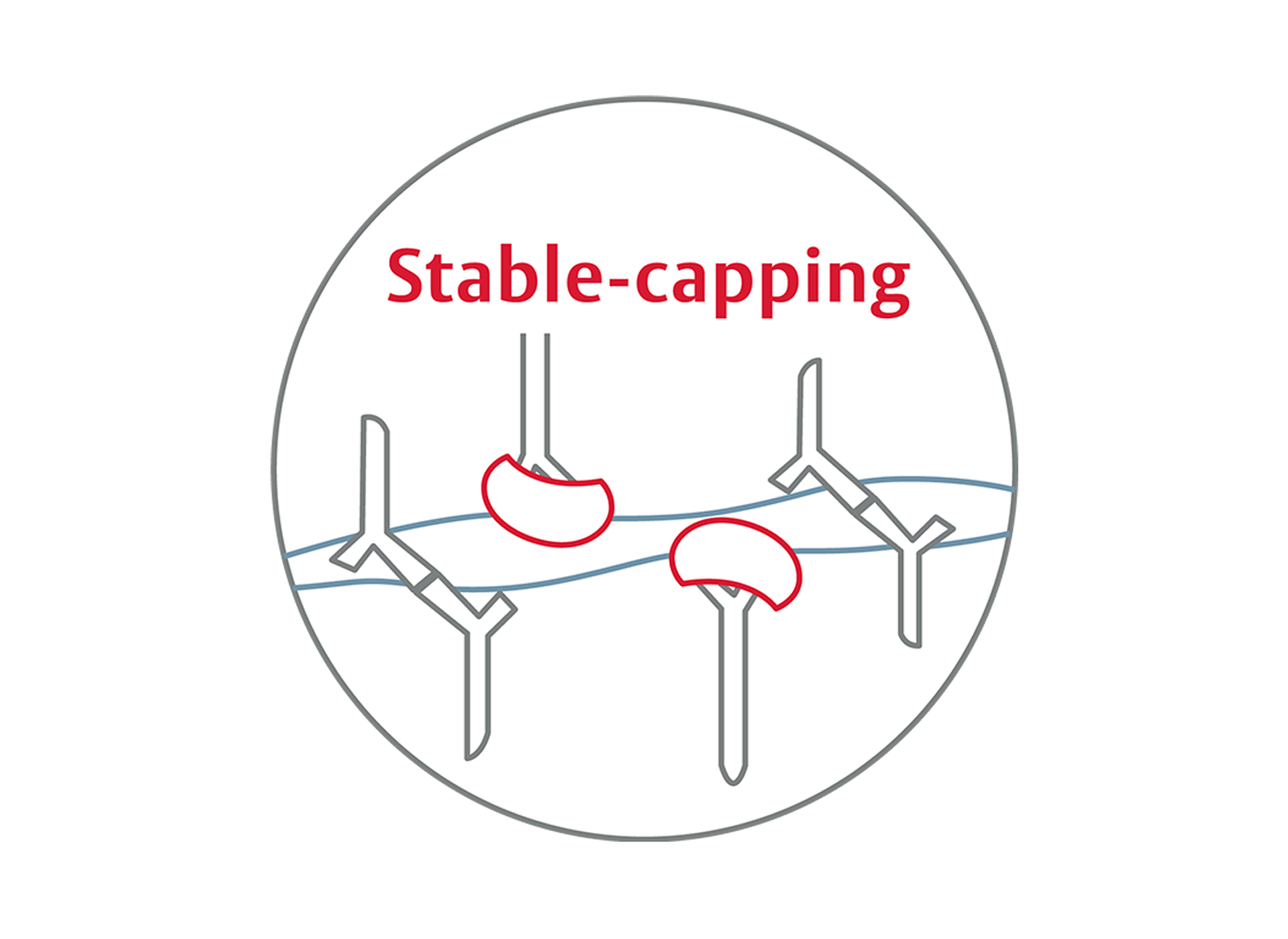 stable-capping