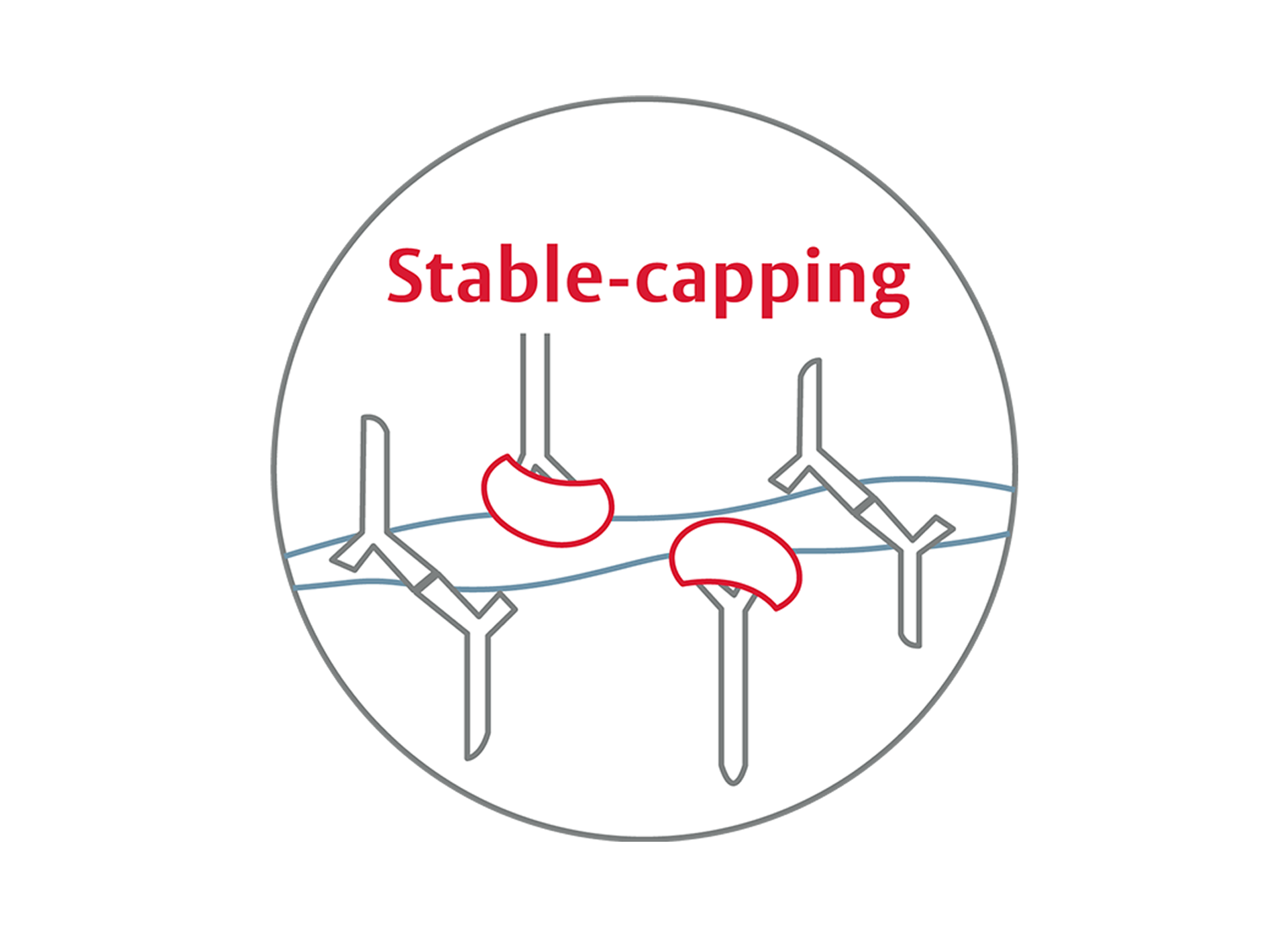 stable-capping