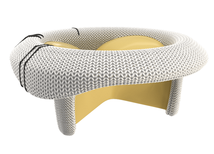 Surgical Mitral Valve