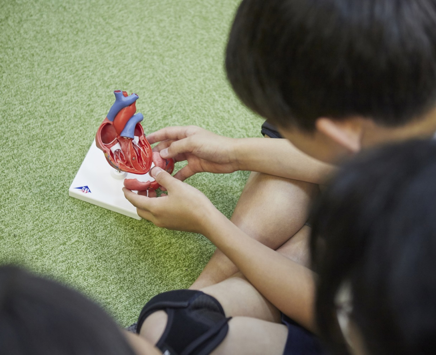 boy playing
