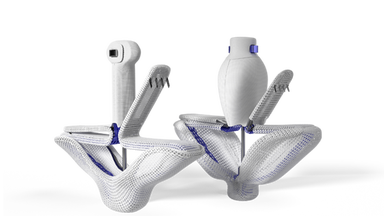 PASCAL transcatheter repair system