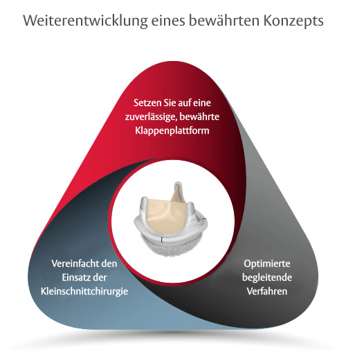 evolution diagram