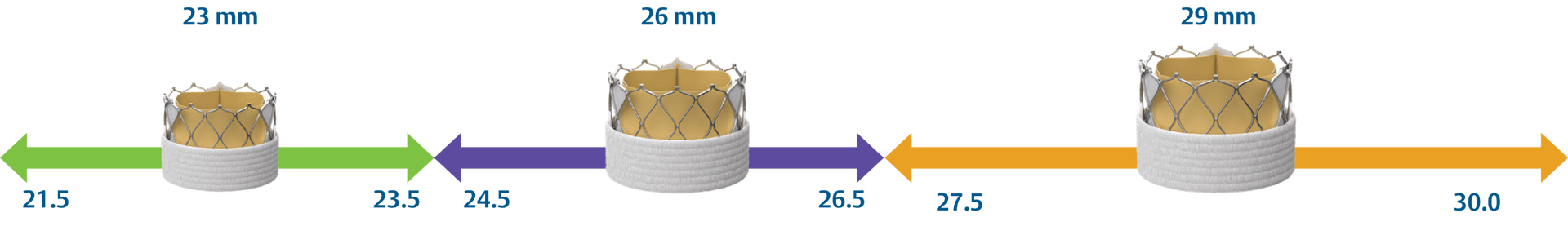 SAPIEN X4S valve sizing