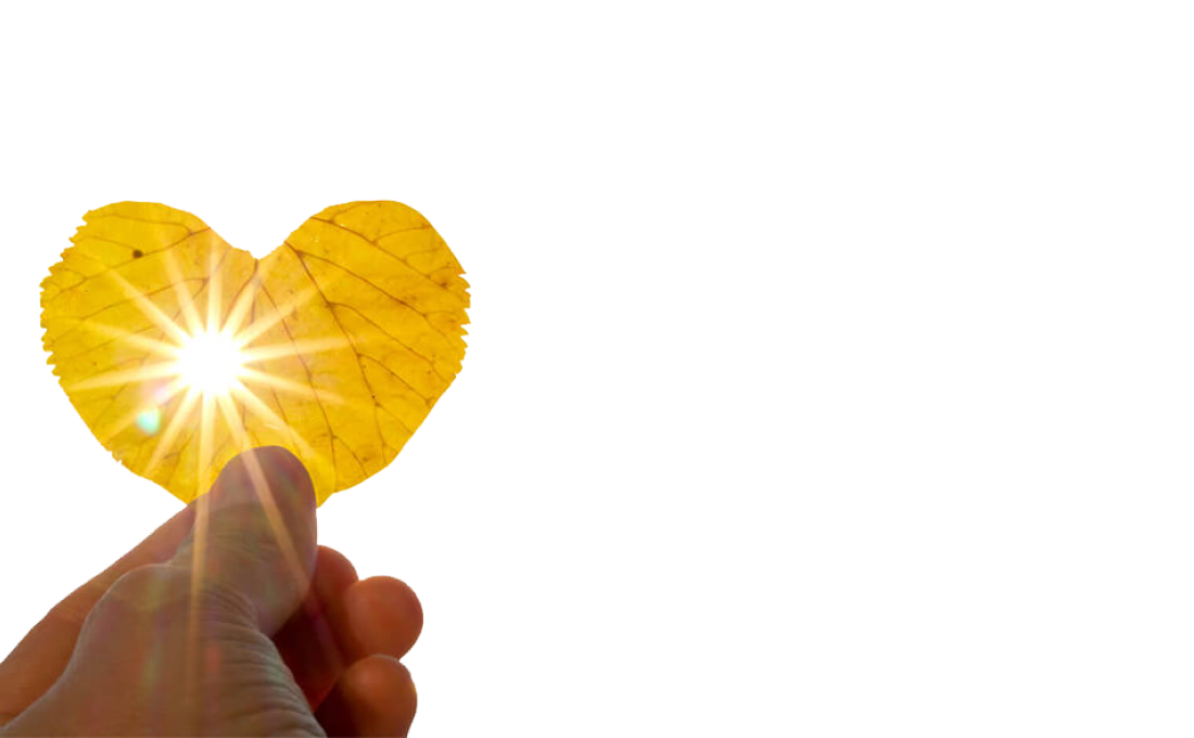 Hand holding leaf small