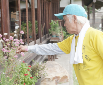 Cook flowers