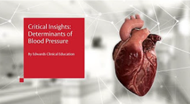 Critical Insights