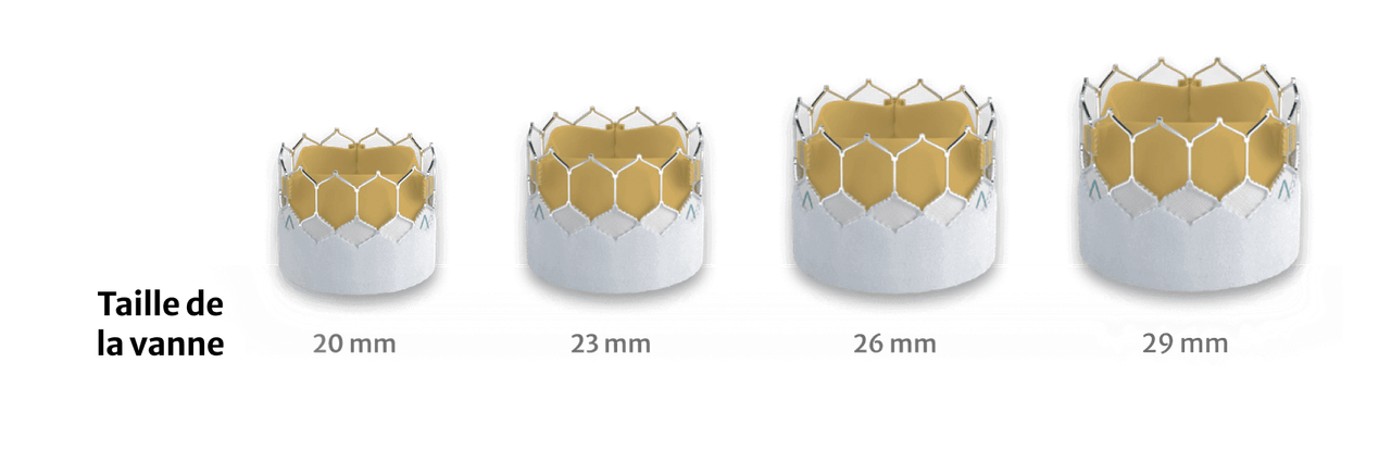 paravalvular leak skirt